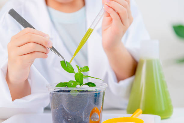 istock Asia little girl science 1485985719