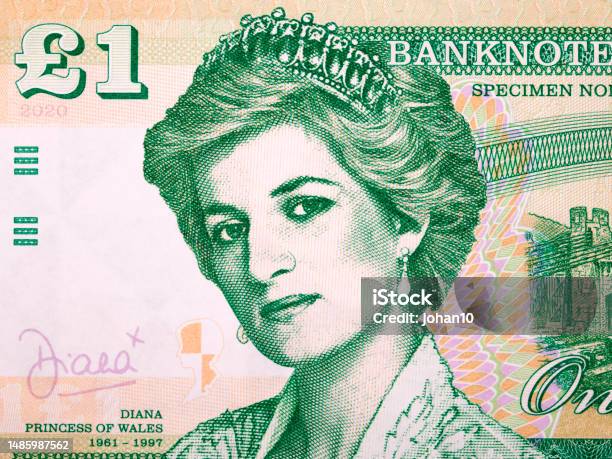 Princess Diana A Portrait From Money Stock Photo - Download Image Now - Princess Diana, British Currency, Close-up
