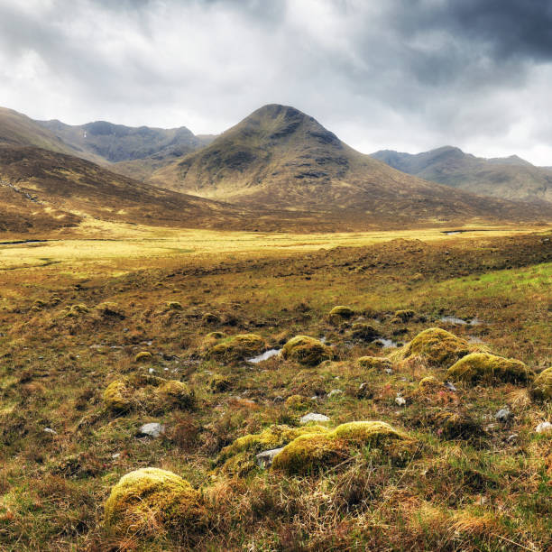 istock Scotland mountain landscape highlands with dark sky 1485988118