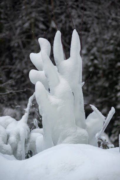 Ice sculpture made by nature from a small tree on Valaam Island