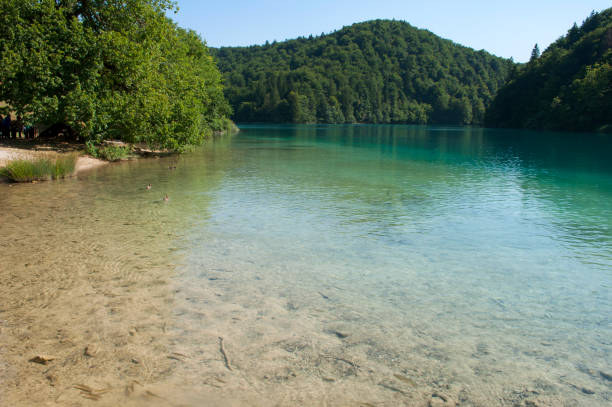 istock Beautiful Plitivice Lake Landscape during Summer. Croatia 1485995025