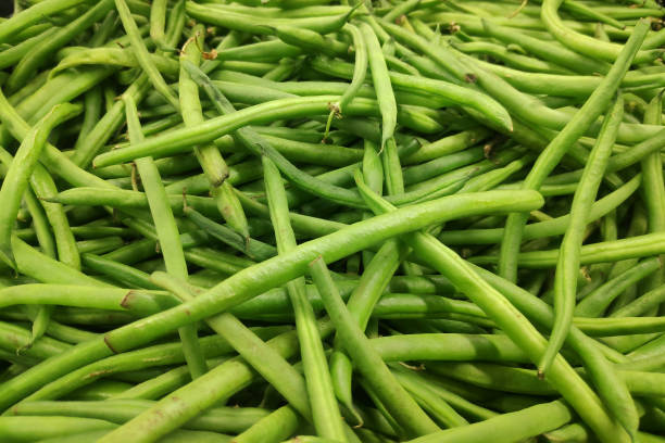 istock Stack of green beans on a market stall 1485995828