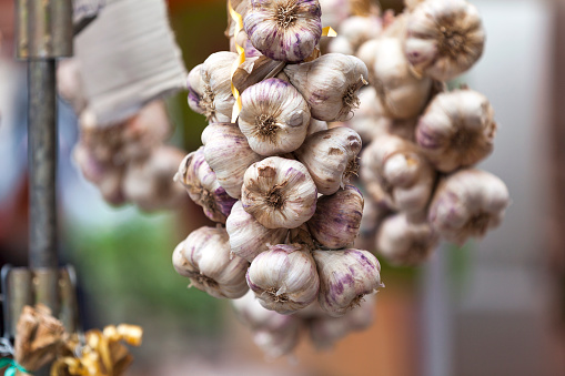 Close-up on a string of garlics hanging from a display at a market.