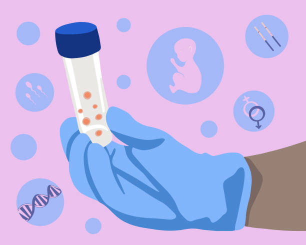 인공 수정 벡터. - human fertility artificial insemination embryo human egg stock illustrations