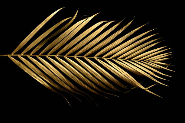 istock golden leaves isolated on black background. 1486003928