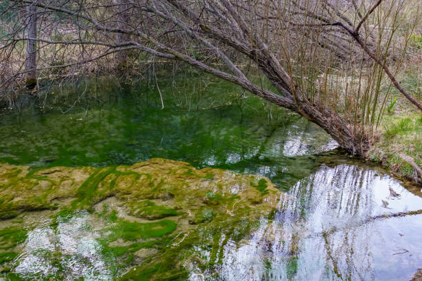 istock Hiking route through the Ebron river strait. Teruel Spain 1486006346