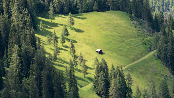 istock A small cabin on a green mountain meadow in the Alps 1486009310