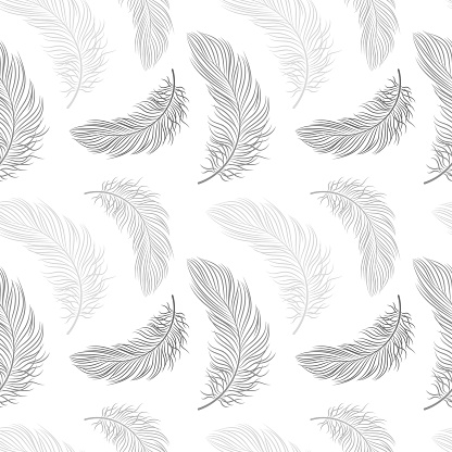 Seamless pattern with delicate gray feathers on a white background. Background, textile, vector