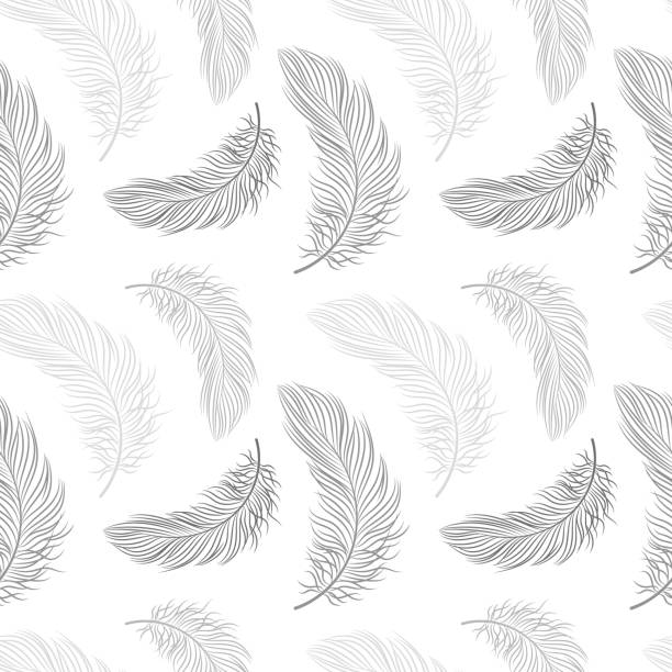 Seamless pattern with delicate gray feathers on a white background. Seamless pattern with delicate gray feathers on a white background. Background, textile, vector ostrich feather stock illustrations
