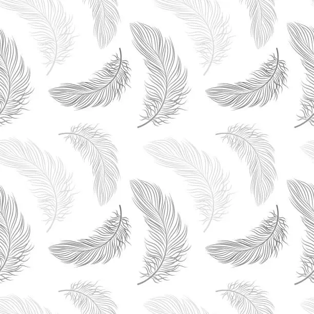 Vector illustration of Seamless pattern with delicate gray feathers on a white background.