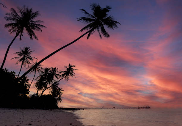 istock Summer with colorful theme as palm trees on the beach background 1486011820