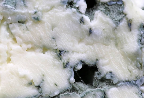 istock Texture of a blue cheese with a big hole, at high magnification, Penicillium 1486013994