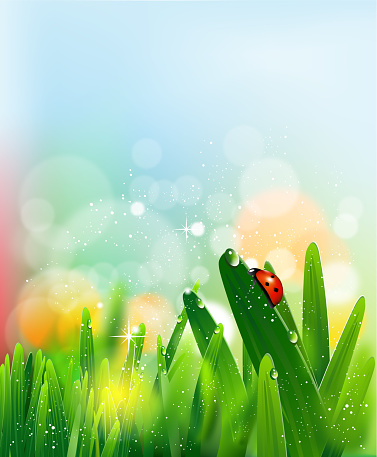 Vector illustration of Beautiful Spring Background