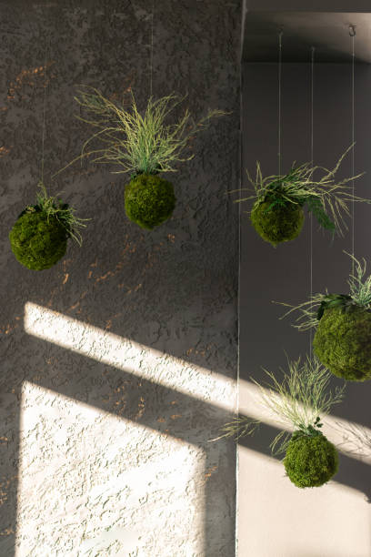 istock Interior decor made of stabilized moss and plants.Biophilia design concept. 1486014523