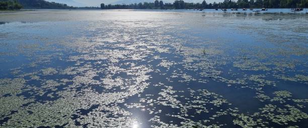 istock Mansbal lake and park 1486016840