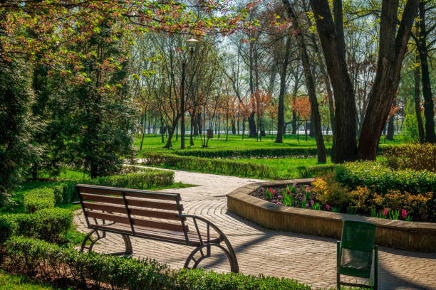 istock Beautiful morning park with bench 1486020710