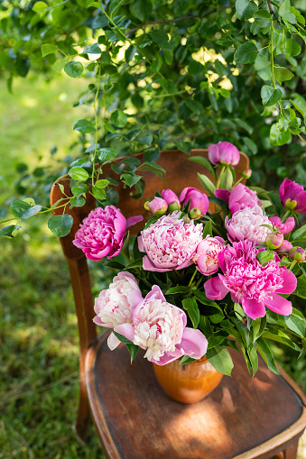 Pink peony in a jug on an old vintage wooden chair, rustic still life. A bouquet for a wedding or birthday