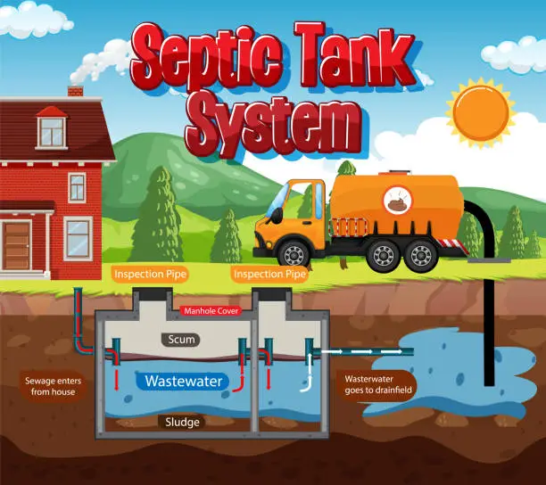 Vector illustration of Septic tank system diagram