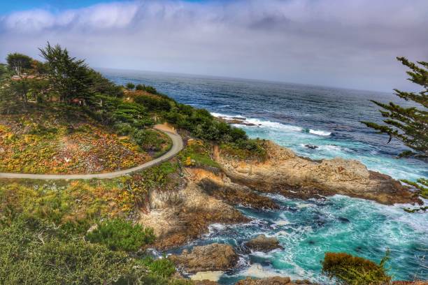 istock the road that leads to the ocean by itself, with trees on both sides 1486023747