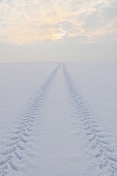 istock Winter Landscape with a track, winter in Germany 1486024067