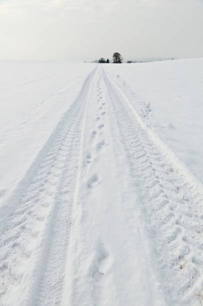 istock Winter landscape with road and track, winter in Germany 1486024071