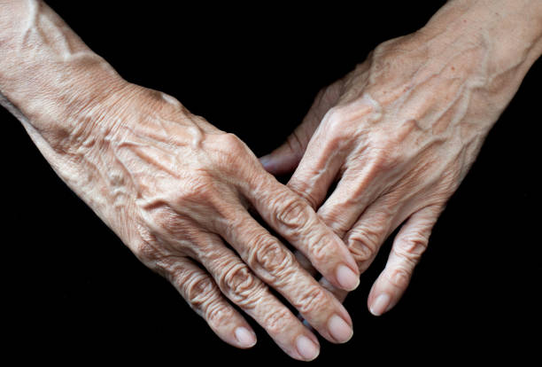istock Timeless Hands: Capturing the Aging Journey Through a Lifetime of Experience 1486024589