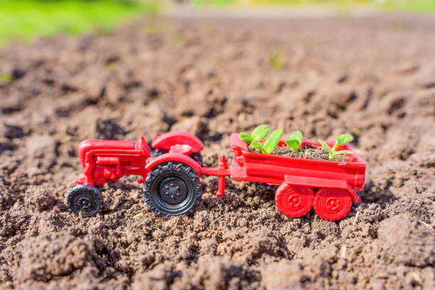 istock Toy Tractor with Seedlings on Freshly Plowed Farmland 1486048017