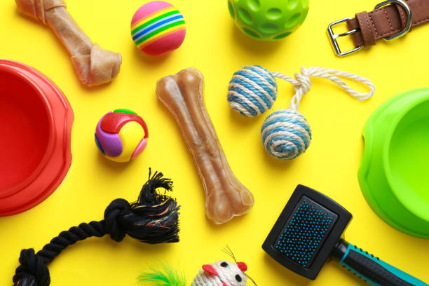 istock Flat lay composition with pet toys and feeding bowls on yellow background 1486052855
