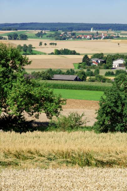 istock Summer Landscape in southern Germany 1486053745
