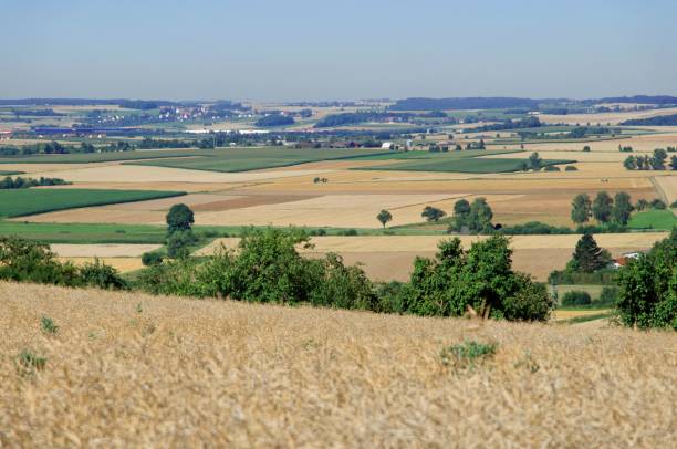 istock Landscape in southern Germany in July 1486053749