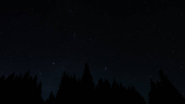 istock Stars in night sky 1486053846