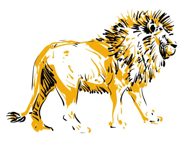 Vector illustration of Lion Silhouette Ink Illustration