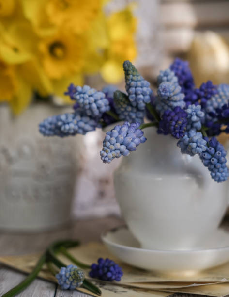 istock Still life with spring flowers. Spring still life 1486062158