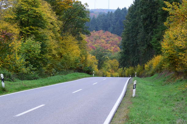 istock Country Road in autumn 1486064878