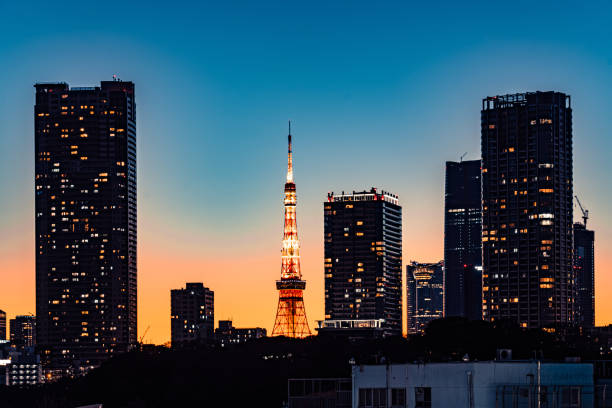 Elevated view of illuminated Tokyo Tower and crowded skyscrapers in Tokyo.