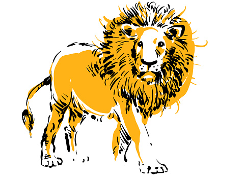 This is a vector illustration of a lion viewed from a side and made in digital ink