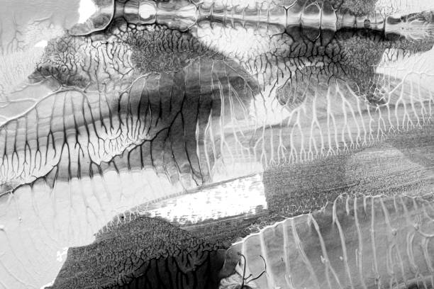 istock black white abstract acrylic painting color texture on white paper background by using rorschach inkblot method 1486068592