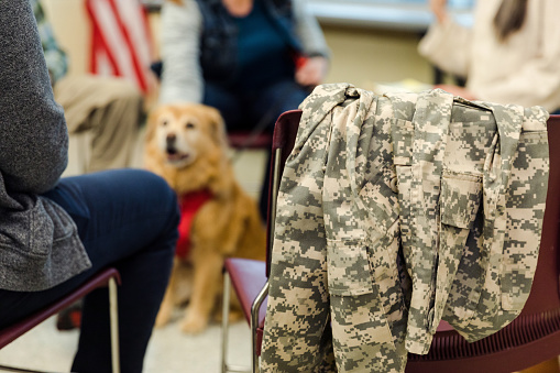 An unrecognizable group of service members and their support animals attend the therapy meeting.