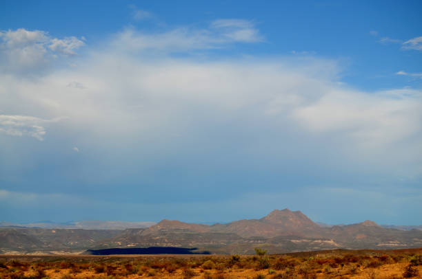 The Sonora desert in central Arizona USA