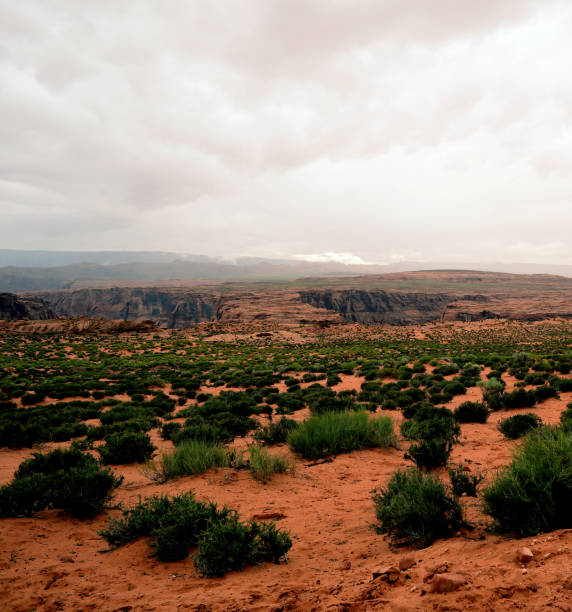 der weg nach horse shoe bend arizona - majestic mountain river horseshoe bend stock-fotos und bilder