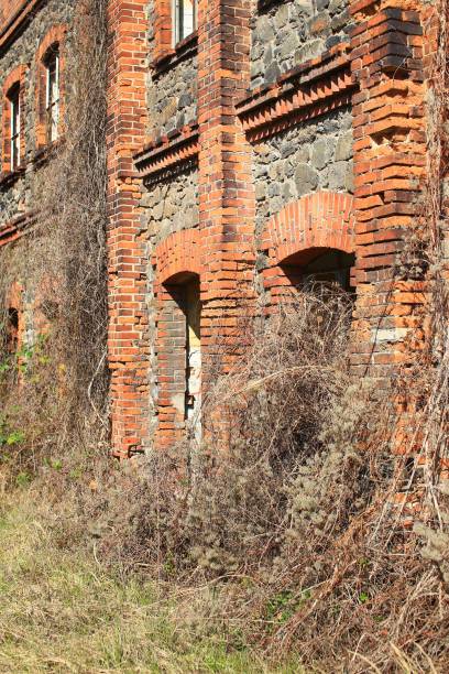 istock Facade of abandoned German building, overgrown by vines 1486077425