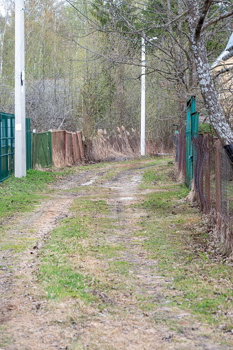 Road in the countryside, rickety fences and concrete lighting poles. Rural, garden, country.