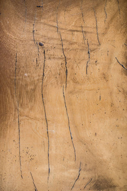 istock background of colored textured material, textured wall surfaces in material and stone 1486087386