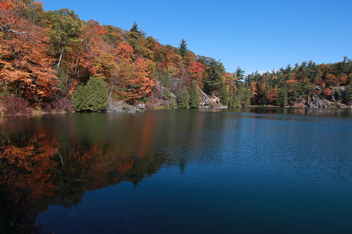 Autumn in Gatineau-Ottawa is a stunning display of vibrant foliage and crisp, cool air. The colors of the leaves range from rich crimson to burnished gold, casting an ethereal glow over the landscape. The shimmering waters of lakes, Gatineau River, and Ottawa River reflect the brilliant colors above, creating a harmonious interplay of contrasting hues. As the days grow shorter, the night sky puts on a dazzling display of stars, offering a glimpse into the vastness of the universe.