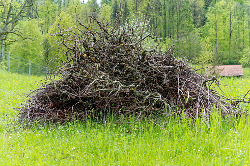 Scenic view of heap of branches on meadow at City of Zürich on a rainy spring day. Photo taken April 28th, 2023, Zurich, Switzerland.