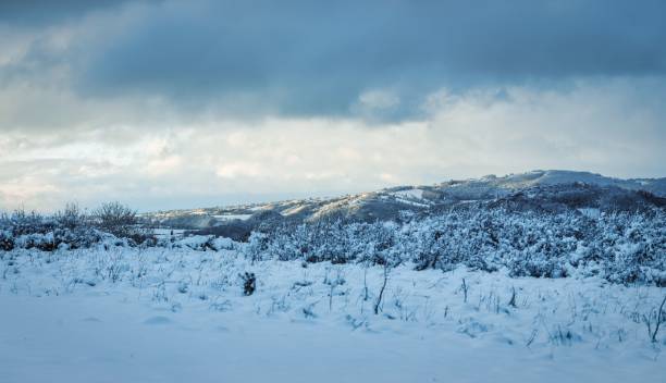 istock Tranquil winter landscape featuring a snow-covered field with trees and distant mountains 1486095864