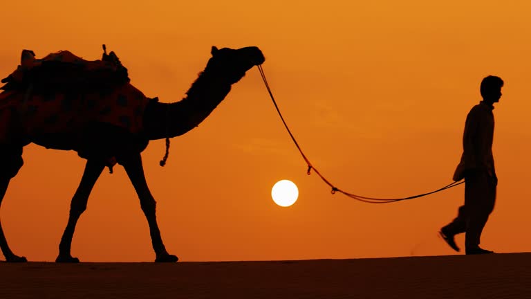 Cameleers, camel Drivers at sunset. Thar desert on sunset Jaisalmer, Rajasthan, India.