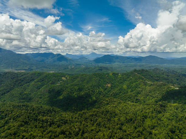 istock Mountains with rainforest and clouds. Borneo, Malaysia. 1486100053