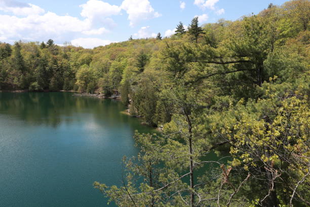 istock Gatineau park in summer 1486100963
