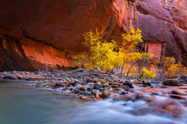 Autumn in the Virgin Narrows
